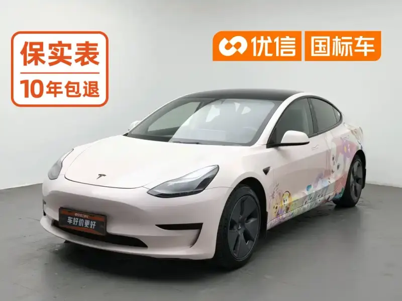 Tesla Model 3 Tesla Model 3 2021 Standard Range RWD Upgrade Edition 3D6, 2021 — фото 1