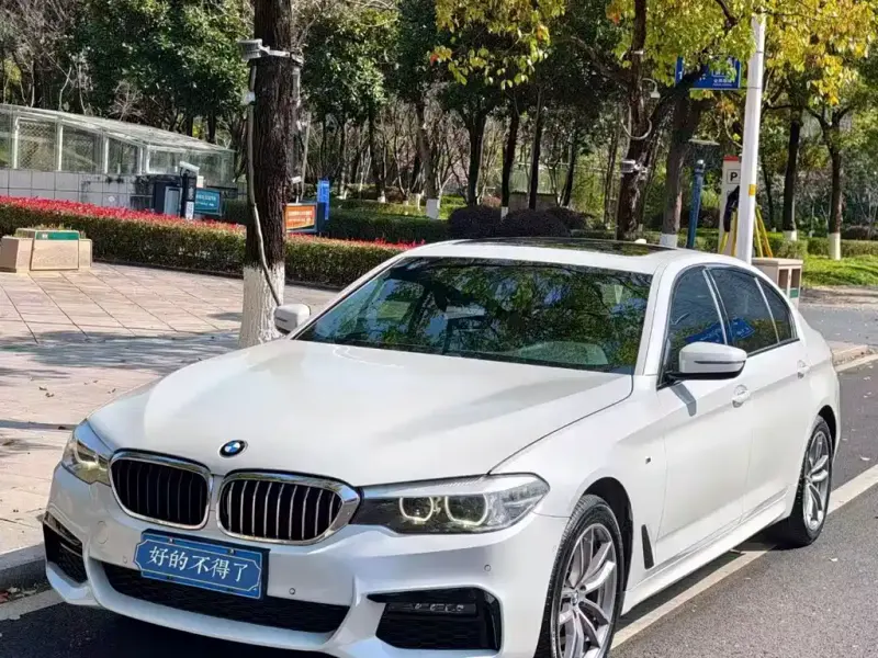 BMW 5 Series, 2019