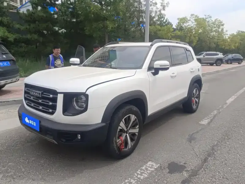 Haval Big Dog Haval Dargo (Big Dog) 2021 1.5T DCT 2WD Labrador Edition, 2021 — фото 1