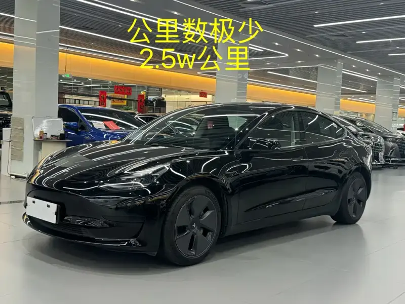 Tesla Model 3, 2021