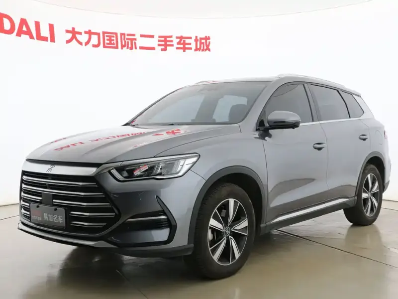 BYD Pro New Energy, 2022