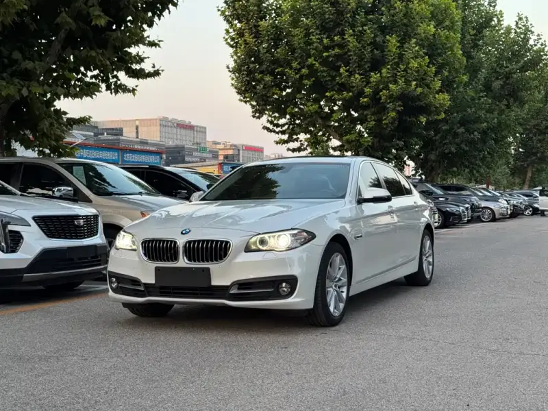 BMW 5 Series, 2014
