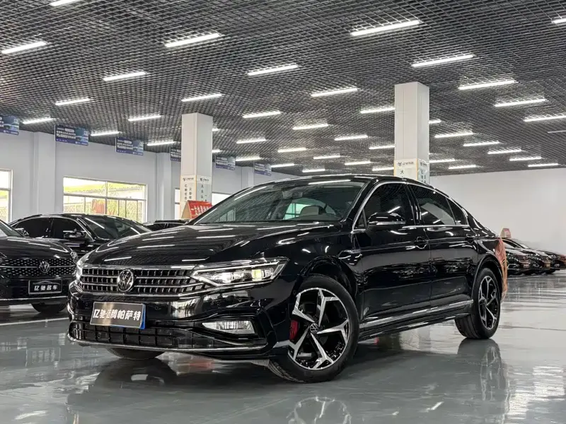 Volkswagen Magotan, 2024