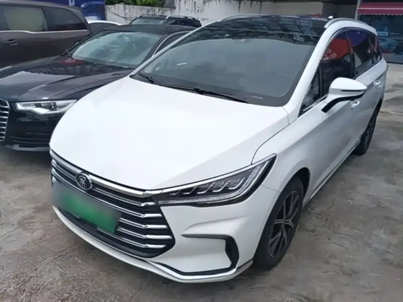 BYD MAX New Energy, 2023
