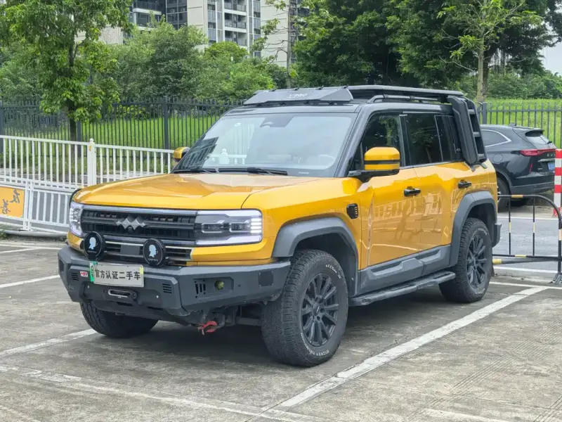 Fang Cheng Bao Leopard 5, 2024