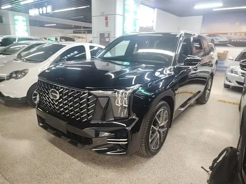 GAC Motor Trumpchi GS8, 2024