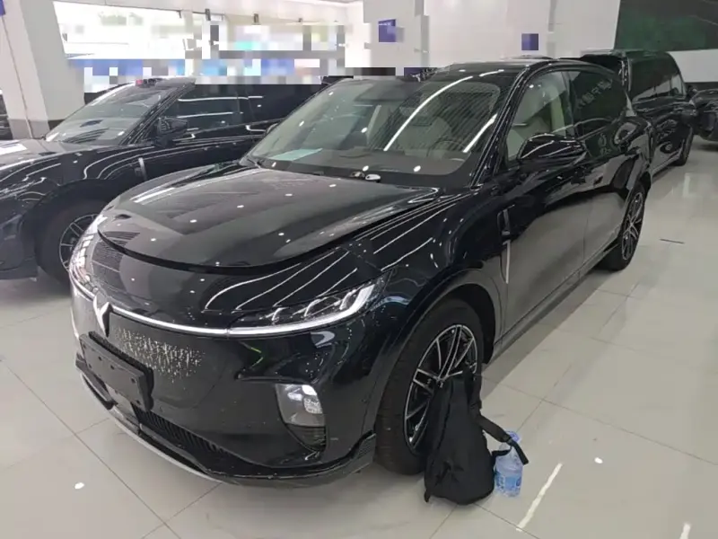 VOYAH Zhiyin, 2025