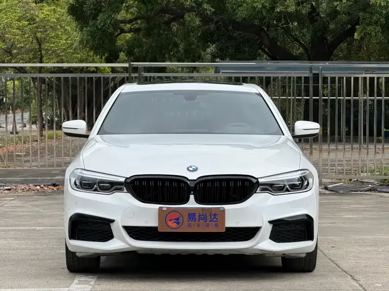 BMW 5 Series, 2020