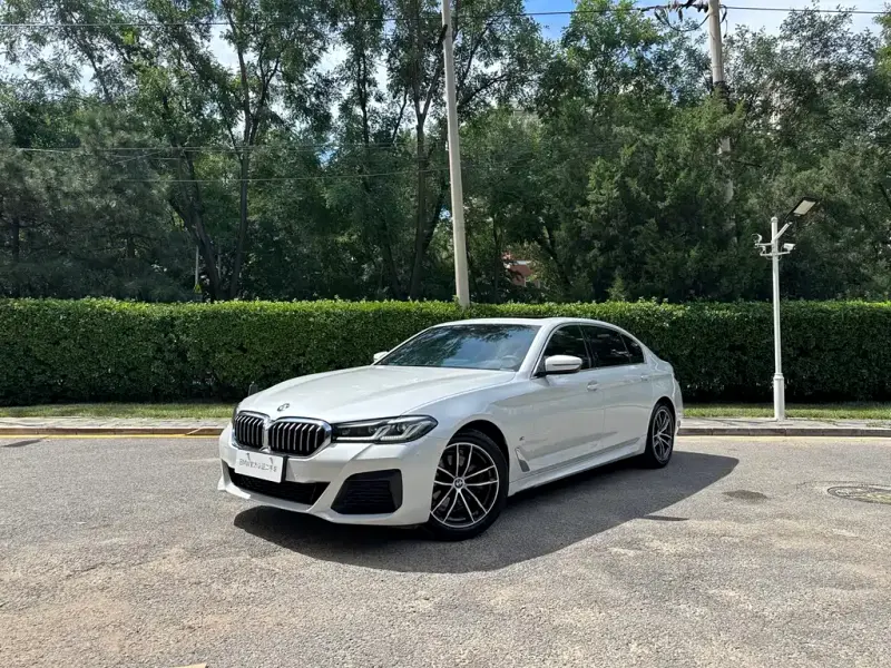 BMW 5 Series BMW 5 Series 2021 525Li M Sport Package, 2021 — фото 1