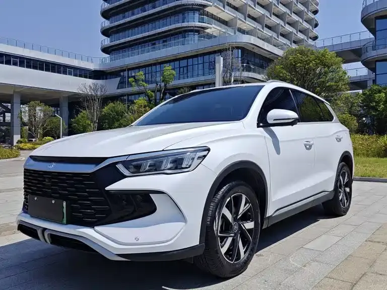 BYD Pro New Energy, 2024
