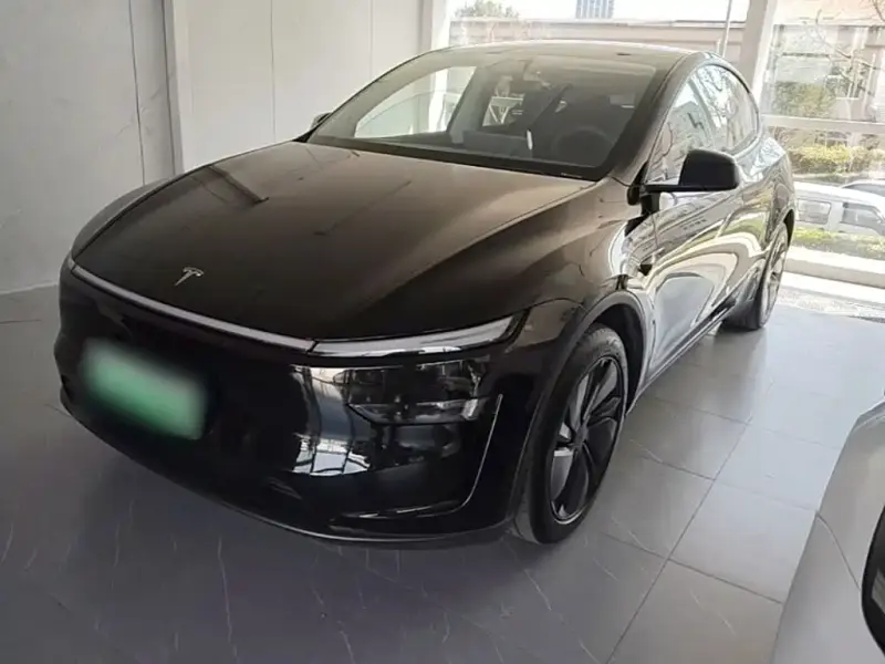 Tesla Model Y Tesla Model Y 2025 RWD Drive Dynamic Edition, 2025 — фото 1