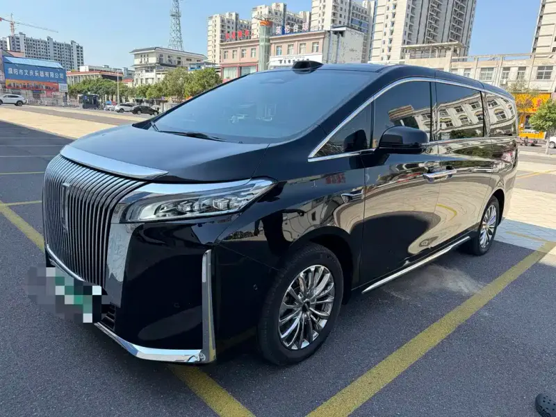 Wey Gaoshan New Energy, 2025