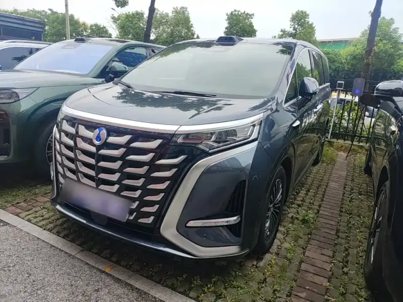 Denza D9, 2025
