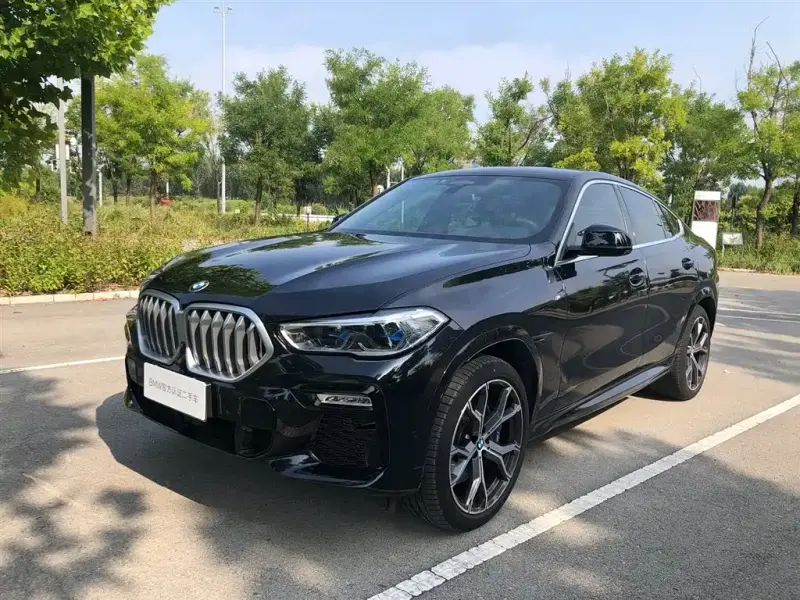 BMW X6, 2020