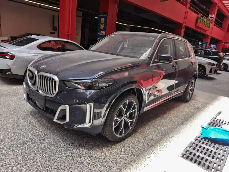 BMW X5 BMW X5 2023 xDrive 30Li Premium Type M Sport Package, 2026 — фото 1