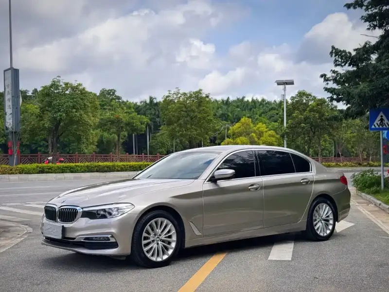 BMW 5 Series, 2019