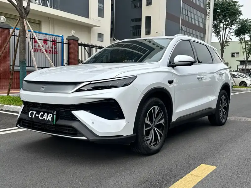 BYD Pro New Energy, 2025