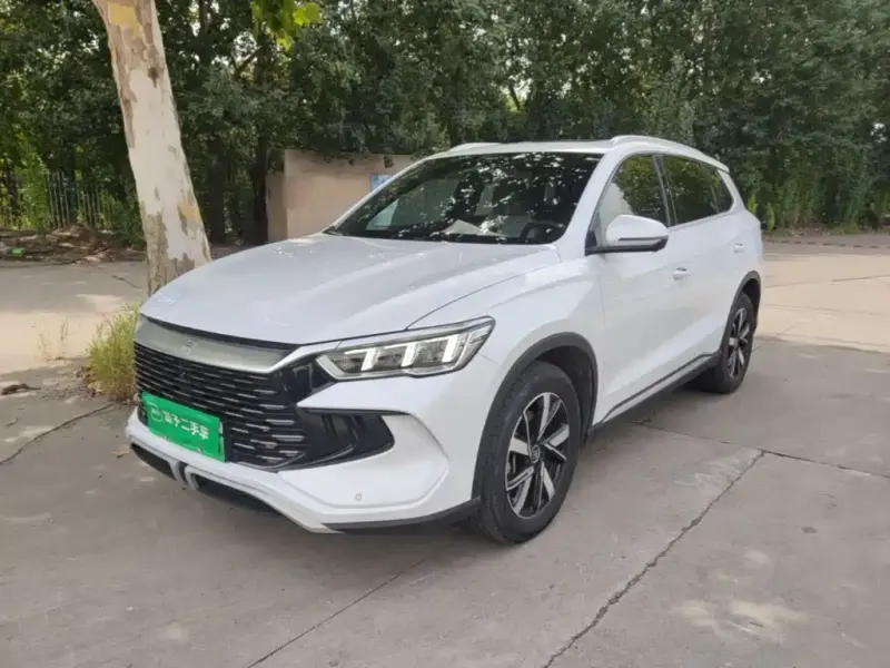 BYD Pro New Energy, 2024