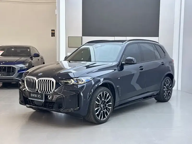 BMW X5 BMW X5 2023 xDrive 40Li M Sport Night Package, 2024 — фото 1