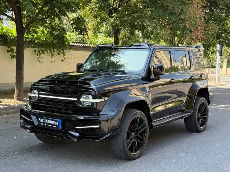 Tank 300 Tank 300 2023 Offroad Edition 2.0T Conquer, 2023 — фото 1