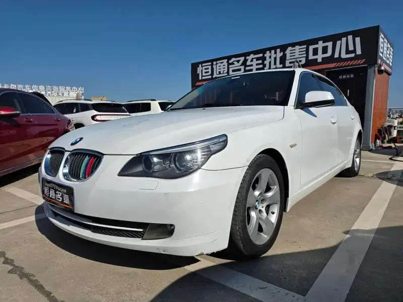 BMW 5 Series, 2010