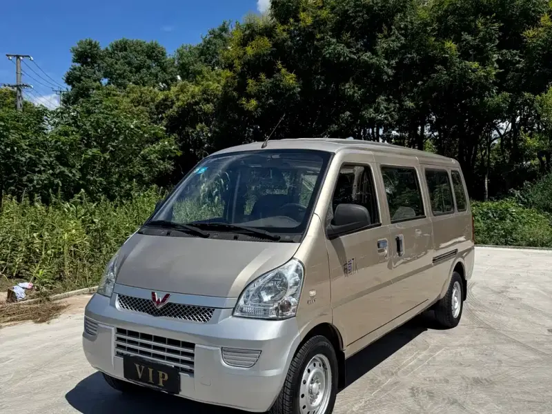 Wuling Rongguang, 2019