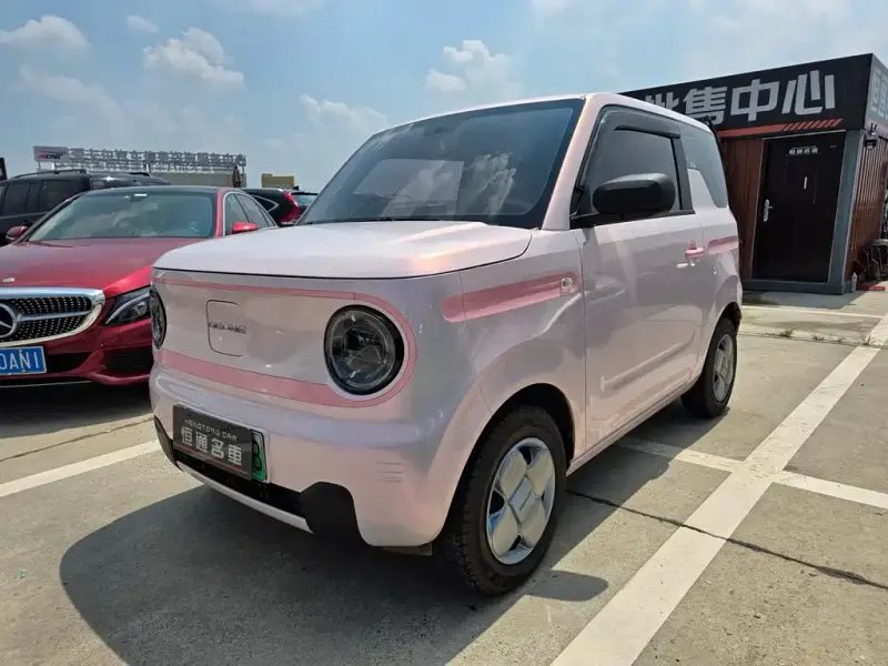 Galaxy Panda, 2024