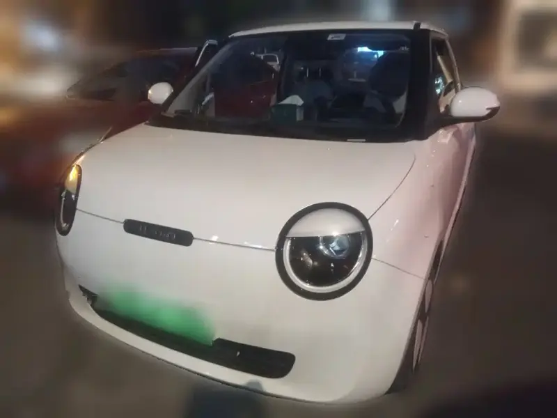 Qiyuan Lumin, 2022