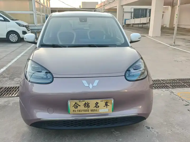 Wuling Bingo, 2023