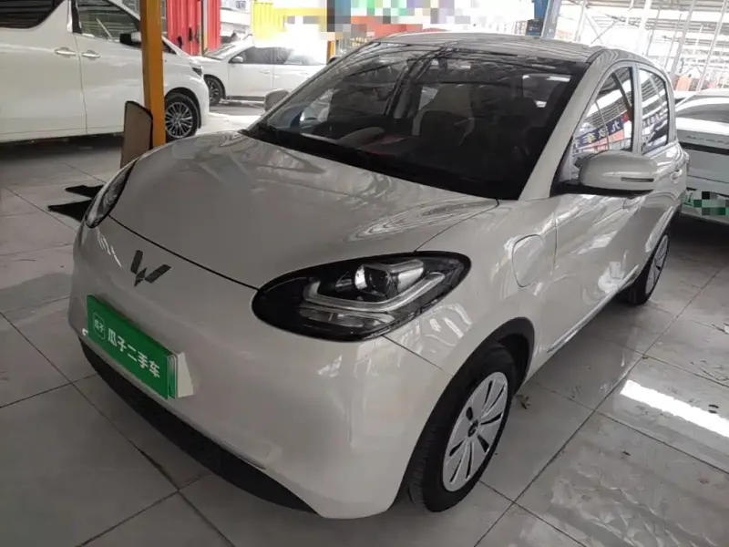 Wuling Bingo, 2024