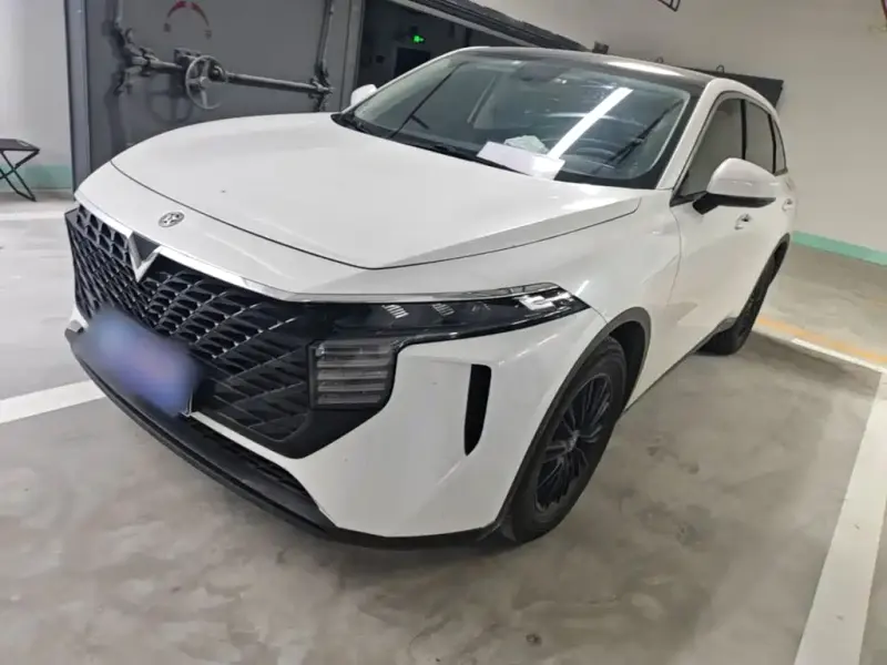 Venucia V, 2021