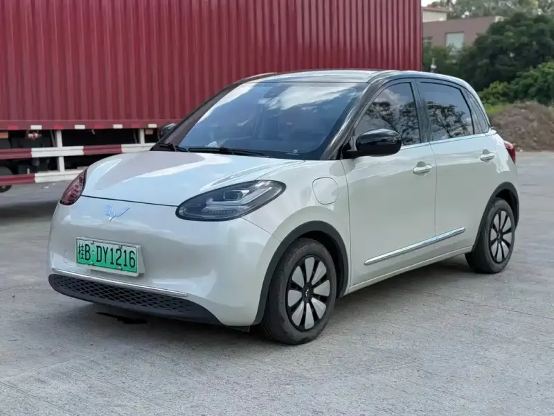 Wuling Bingo, 2023