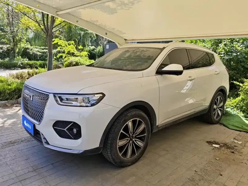 Haval H6, 2020