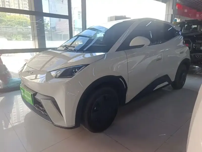 BYD Seagull, 2024