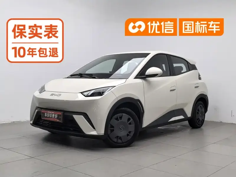 BYD Seagull, 2025