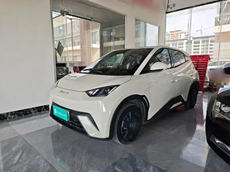 BYD Seagull, 2024