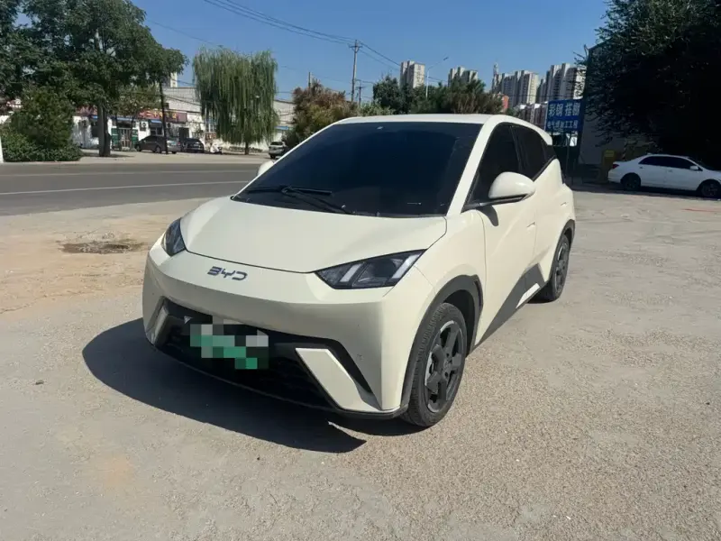 BYD Seagull, 2023