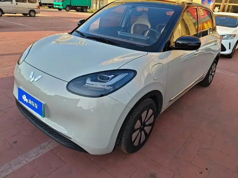 Wuling Bingo, 2024