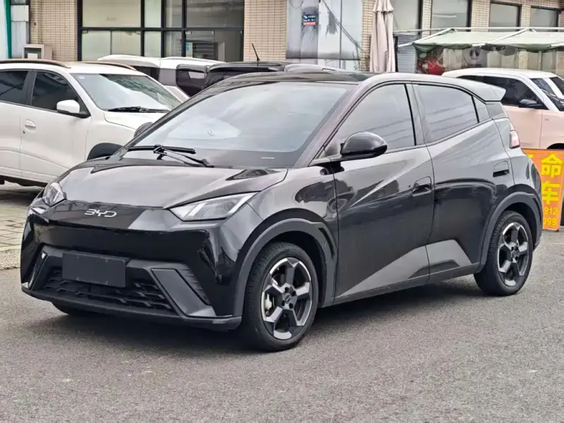 BYD Seagull, 2024