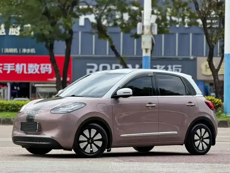 Wuling Bingo, 2023