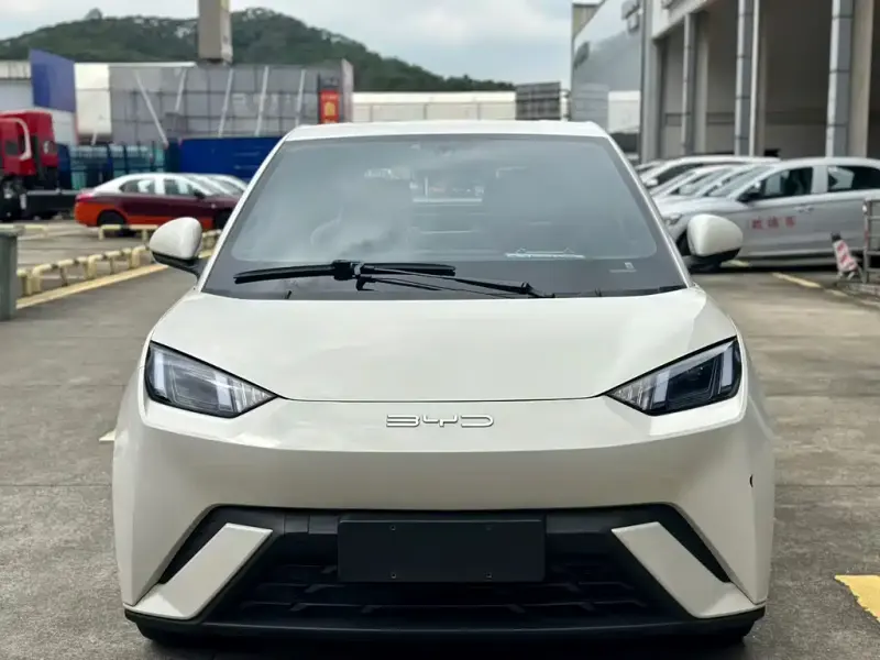 BYD Seagull, 2024