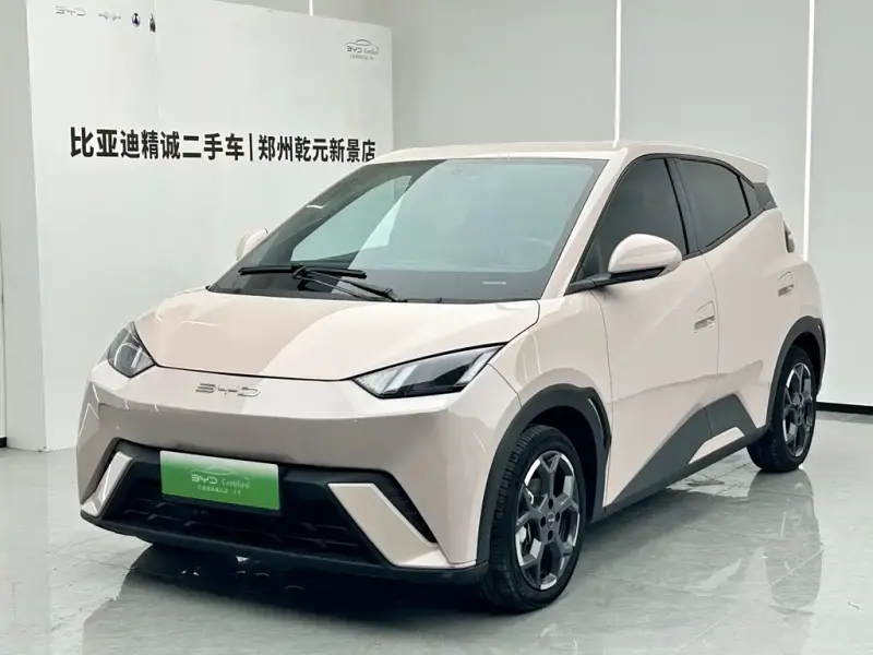 BYD Seagull, 2024