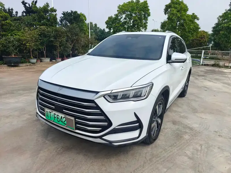 BYD Pro New Energy, 2022