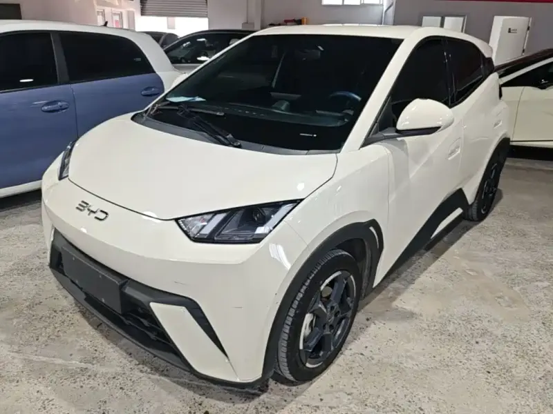 BYD Seagull, 2024
