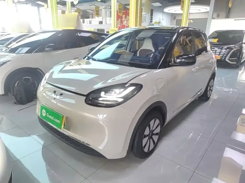 Wuling Bingo, 2024