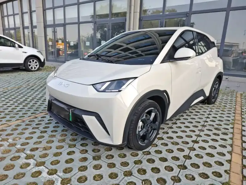 BYD Seagull, 2024