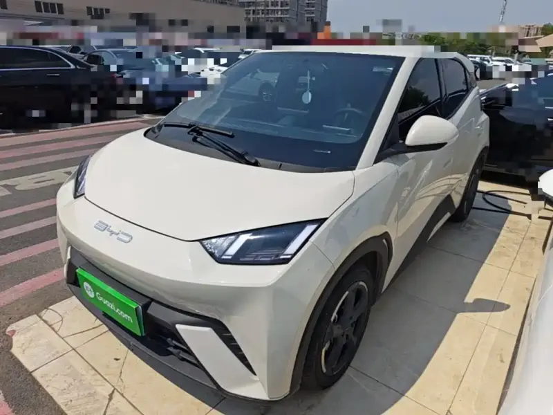 BYD Seagull, 2023