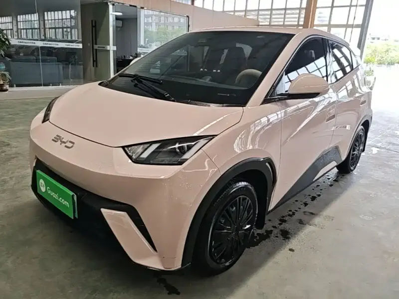 BYD Seagull, 2024