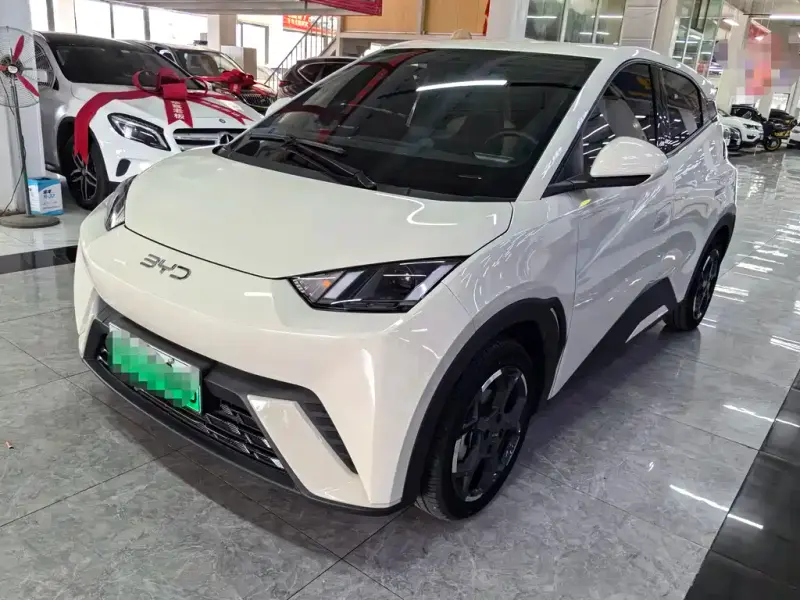 BYD Seagull, 2024