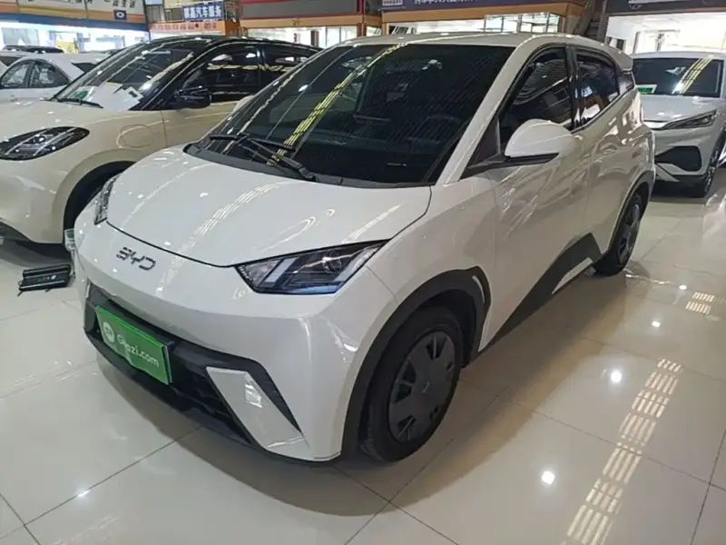 BYD Seagull, 2025
